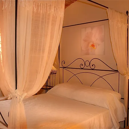 Hotel The Olive Ripalta