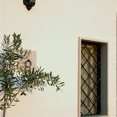 The Olive * Ripalta