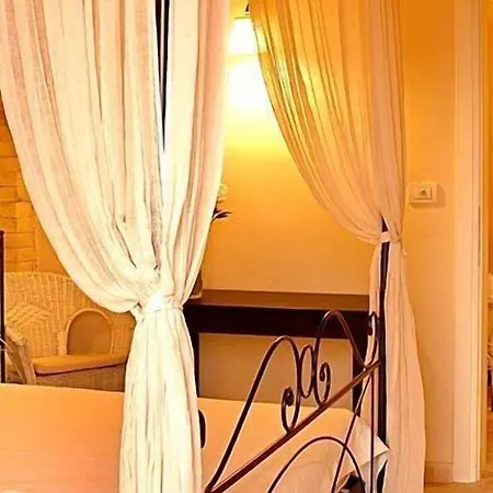 Hotel The Olive
