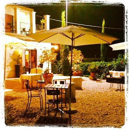 Hotel The Olive *