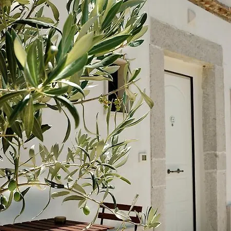 Hotel The Olive *