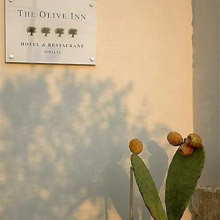Hotel The Olive *