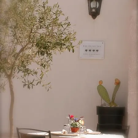 Hotel The Olive Ripalta