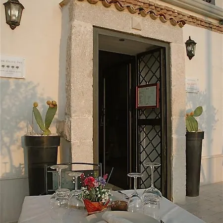 Hotel The Olive